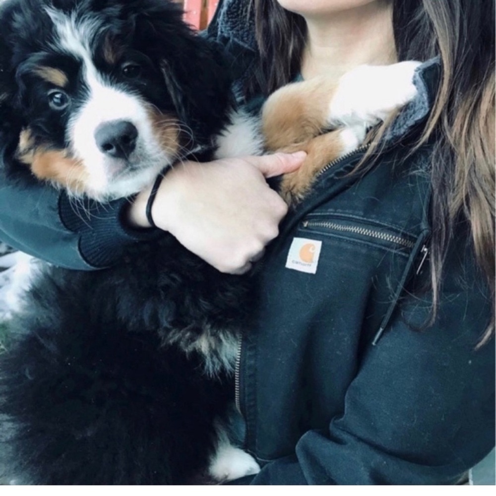 🏔️ Carhartt Wildwood Jacket